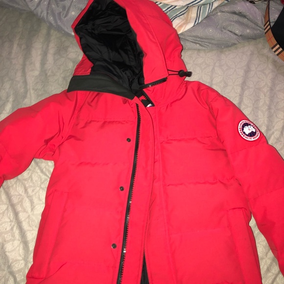 Coat goose - Picture 2 of 2